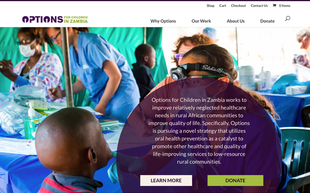 Options for Children of Zambia, WordPress site by pixelslam