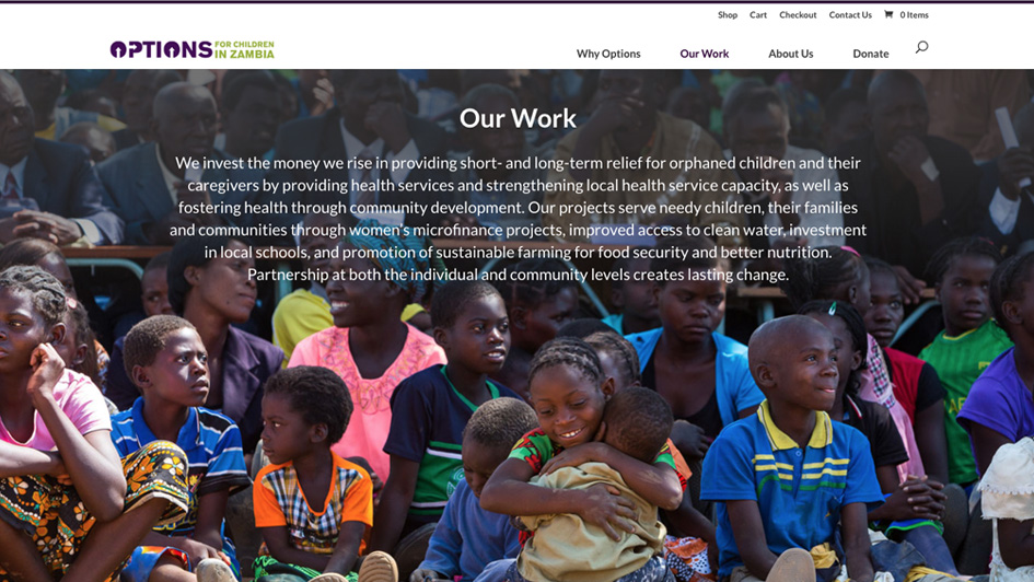 Options for Children of Zambia, WordPress site by pixelslam
